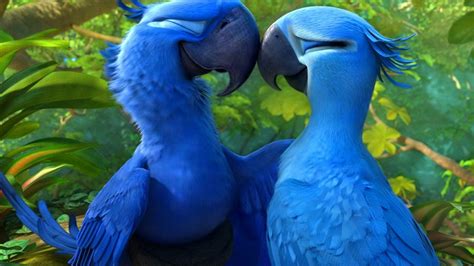 Blu And Jewel Lovers Rio 2 Wallpaper 1920x1080 293818