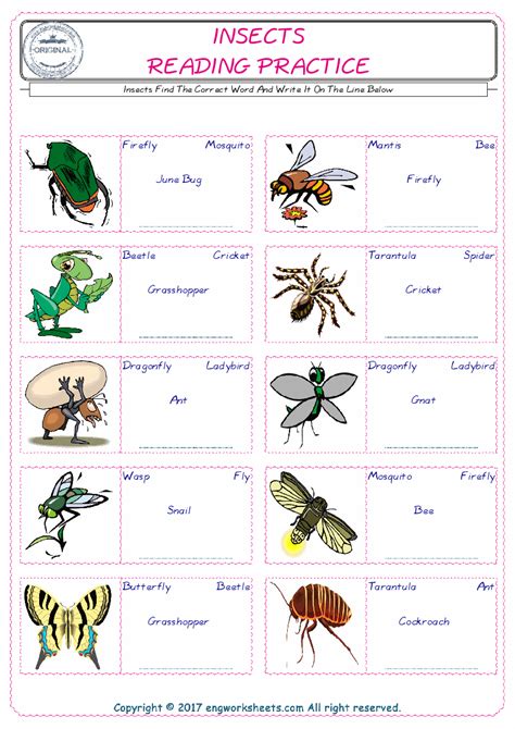 Insects English Worksheet For Kids Esl Printable Picture Dictionary