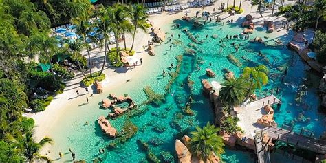 Discovery Cove Day Resort In Orlando Travelzoo