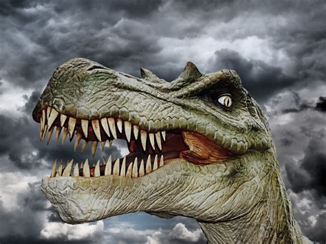 Gratis Foto Dinosaur Dinosaurus Dino Gratis Afbeelding Op Pixabay