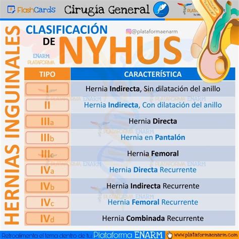 Hernias Inguinales ClasificaciÓn De Nyhus 🩺 Estudiante De Medicina