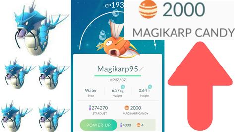 Highest cp pokemon in the game. 2000 Magikarp Candy!!!! My Highest CP Pokemon ever ...