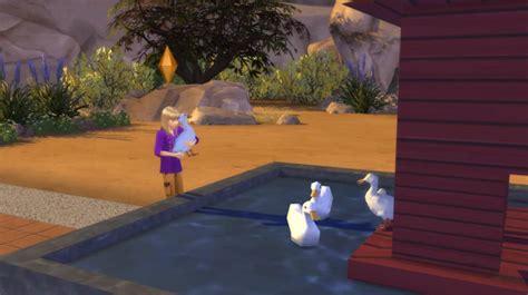 A Modder Is Working On A Functional Duck Pond For The Sims 4