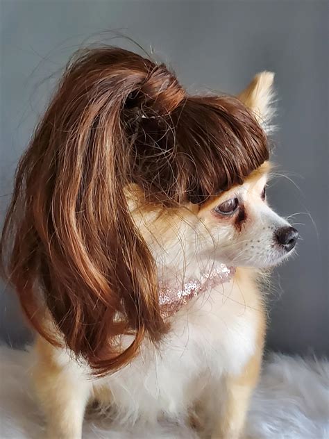 Pet Wig Brown Color For Dog Or Cat Pony Tail Wig Halloween Etsy Uk