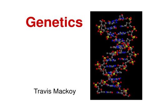 Ppt Genetics Powerpoint Presentation Free Download Id1818249