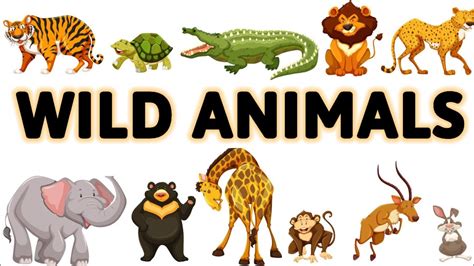 Wild Animals Wild Animals For Kids Wild Animals Name Home Based