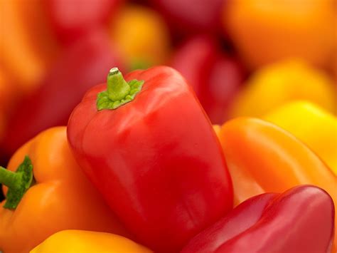 Windset Farms®dolce® Baby Bell Peppers Windset Farms®