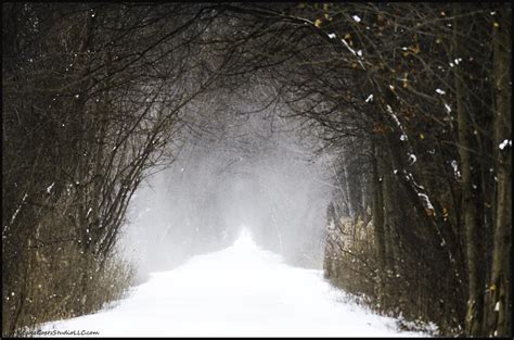 Winter Wonder Snow Tunnel Of Trees Photograph By Leeann Mclanegoetz