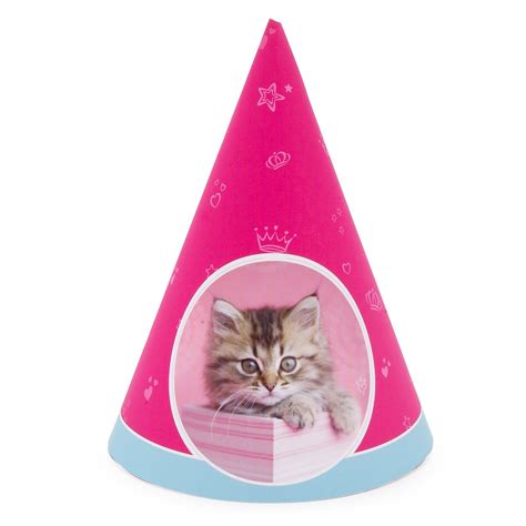 Cat Birthday Hats Cat Hat Cats Cat Birthday