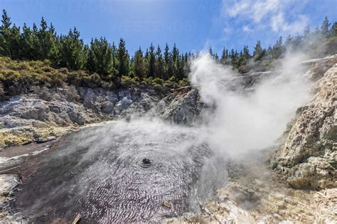 Hell S Gate Geothermal Park Tikitere Rotorua North Island New