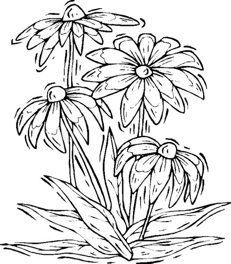 Search through 52570 colorings, dot to dots, tutorials and silhouettes. Printable Nature Coloring Pages - Coloring Home