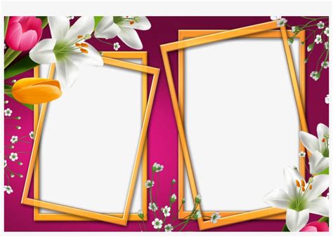 High Quality Resolution Rose Frame For Photo Psd File Most Beautiful