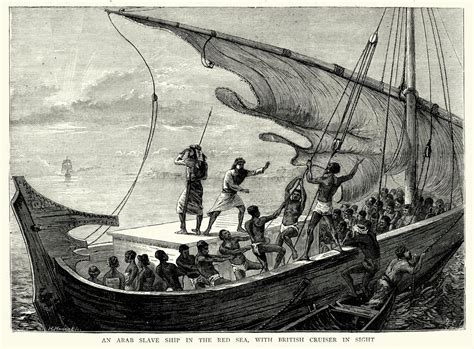 Understanding The Trans Atlantic Slave Trade And The Hebrew Diaspora Images