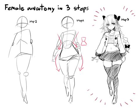 We draw a female anime figure, so the arms should be noticeably thinner than the legs. Princess Hinghoi on Twitter: "Female anatomy in 3 steps…