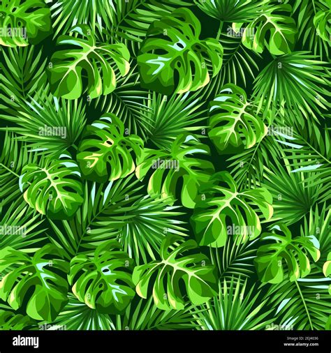 Vector Tropical Seamless Pattern With Green Monstera And Palm Leaves