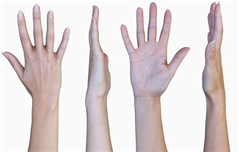 Female 3d Hand Model Bundle 9 X Hand Scans