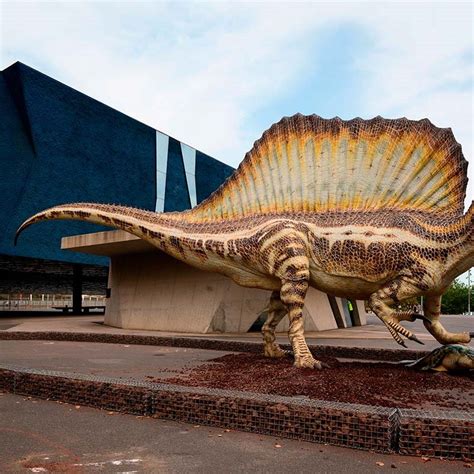 Tickets on sale today and selling fast, secure your seats now. El Spinosaurus, el dinosaurio carnívoro más grande del ...