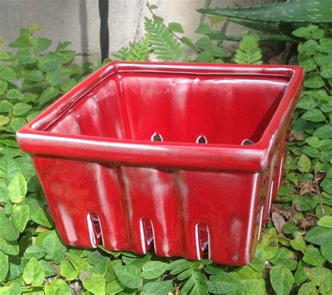 In a couple of months you can expect to begin harvesting deep red berries continuing until frost. Ceramic berry basket strawberry basket rustic oxblood red ...
