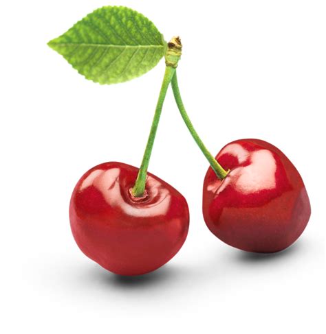 Cherry Clipart Cherry Clipart Free Download On Clipartmag Cherry