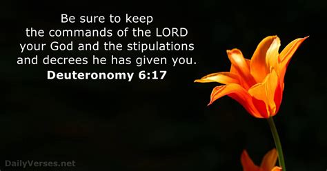 October 18 2022 Bible Verse Of The Day Deuteronomy 617
