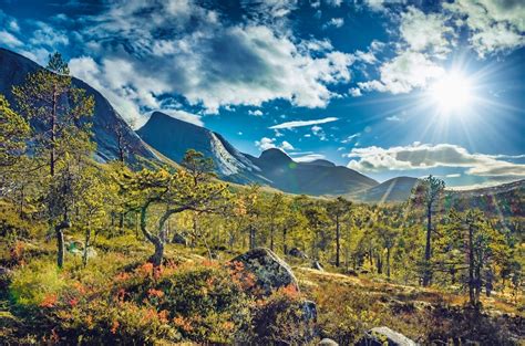 The 5 Best Things To Do In Autumn In Norway Norway Excursions Blog
