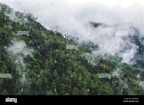 Hill Forest Bhutan Stock Photo Alamy