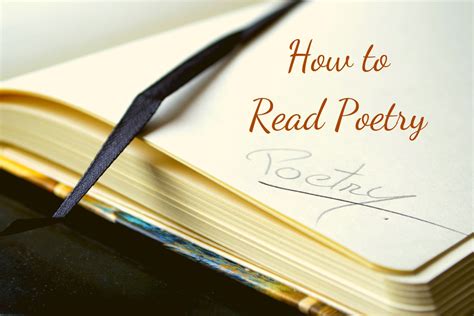 How To Read Poetry Black Bear Review