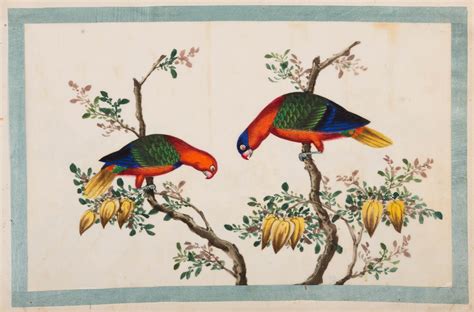 A Silk Bound Album Of Chinese Watercolours Of Birds 19th Century