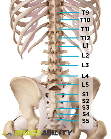 Lso Sciatica And Spinal Stenosis Back Brace Gizmo Express