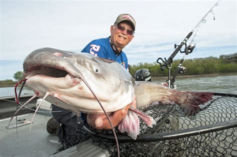 Big Catfishing Opportunities Abound On The Ohio River Ohio Ag Net