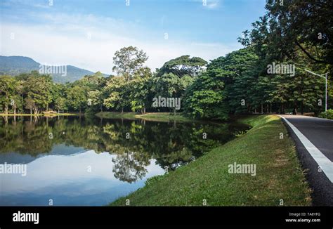 Amazing View Of The Ang Kaew Reservoir Lake Surrounded By Trees And