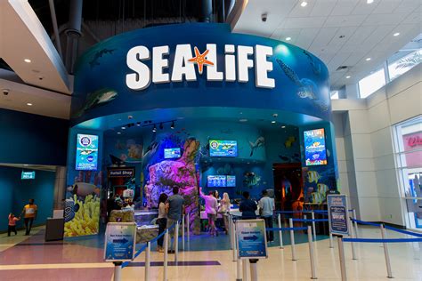 Sea Life Aquarium In Orlando A Visitors Guide Carltonauts Travel Tips
