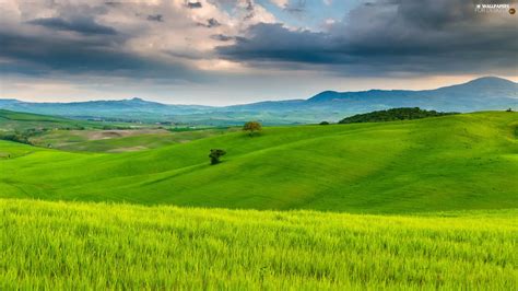 Woods Medows Tuscany Italy Horizon Mountains For Desktop