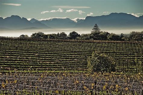 Cape Town Holidays The Winelands ~ Travel And See The World
