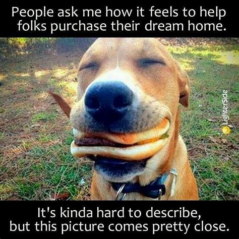Top 22 Real Estate Memes and What They Tell Your Clients