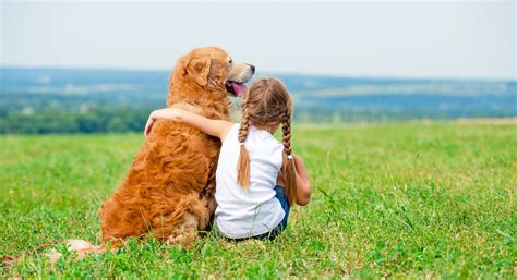 4 Life Skills Your Kids Can Gain Through Pet Ownership ...