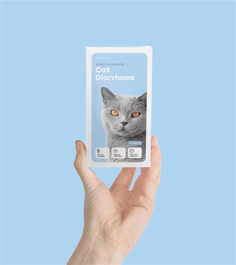 Labrador | Unleashing a smarter approach to pet care