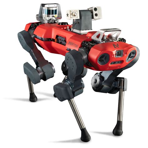 Anymal C Autonomous Legged Robot Anybotics