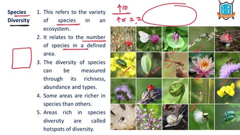What Is Species Diversity Species Diversity అంటే ఏమిటి La
