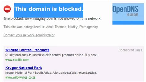 Interesting Open Dns Blocks Porn Sites Opinion You