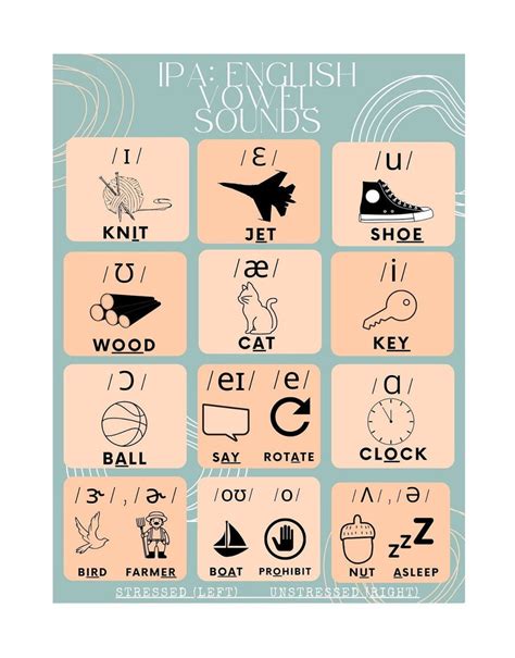 English Ipa Vowels Poster With Examples Simple And Organized Etsy