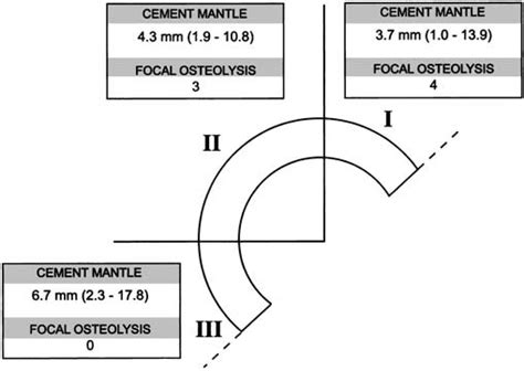 Absolute Numbers Of Areas Of Osteolysis And The Cement Mantle Thickness