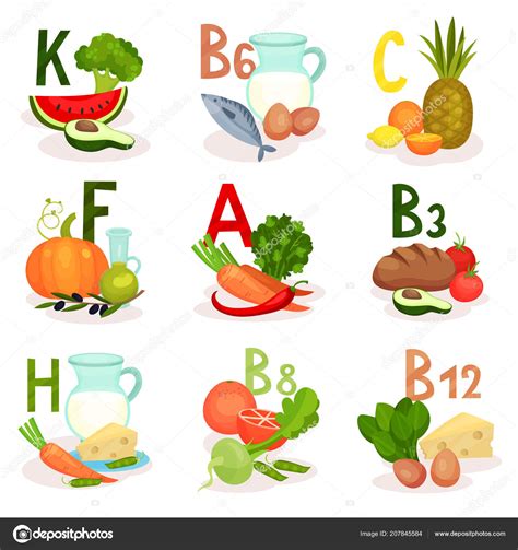 Alimento De Dibujos Animados Con Vitamina A Vector Archivo Imagenes Images