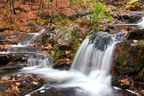 Free Picture Small Waterfall Autumn Season Forest