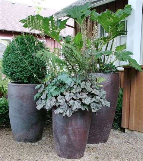 Garden landscaping is a superb approach to update a garden. Large Potted Plants For Patio | grounded design by Thomas ...