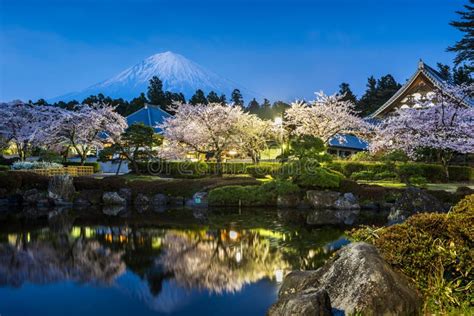 Fujinomiya Shizuoka Japan With Mt Fuji And Temples In Spring Stock