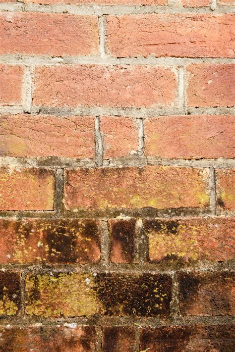 Old Red Brick Wall Free Background Texture With Grunge Bottom Half