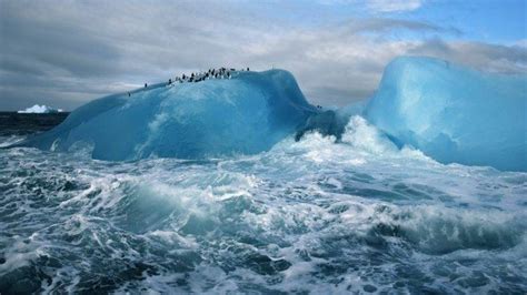 Nature Landscape Winter Iceberg Sea Clouds Arctic Penguins Animals Waves Wallpapers Hd