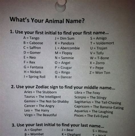 Great Pictures Whats Your Animal Name