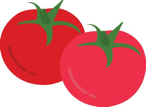 Hand Drawn Style Drawing Tomato 14455766 Png